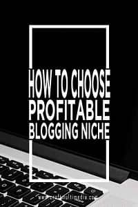 How To Choose A Profitable Blogging Niche